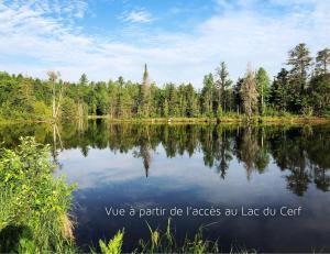 Příroda nedaleko chaty