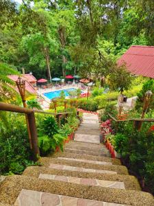 米卡MINCA Chunuu - glamping - coworking MINCA的花园设有通往游泳池的通道