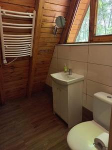 Koupelna v ubytování Domek Ptaszyniec + 9 fotografií