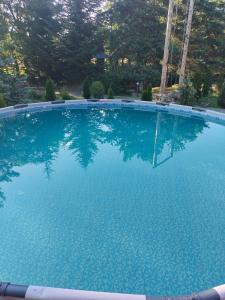 a large pool of blue water with trees in the background at Млин готель-ресторан-спа in Tyapche