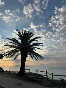 a palm tree and a bench next to the ocean at Aladín House Vinaròs playa in Vinaròs