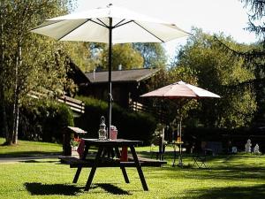 a picnic table with an umbrella on the grass at Feriendorf Reinskopf in der Eifel in Schönecken