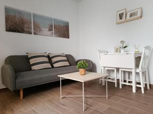 un salon avec un canapé et une table dans l'établissement Apartamentos Casa Vicario, à Jerez de la Frontera 60 autres photos