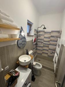 a bathroom with a shower and a toilet and a sink at Airport Green 2 in Cluj-Napoca