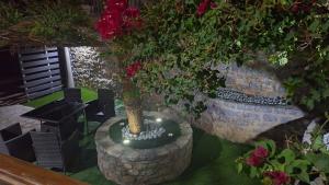 Gallery image of Casa Terra Mani in Álika +164 photos