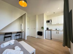 Η κουζίνα ή μικρή κουζίνα στο Studio L'émeraude NEW Cozy - Gare Parilly