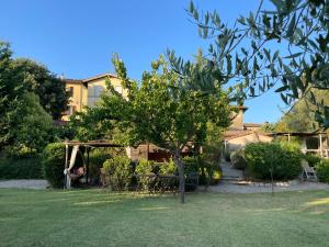 A garden outside Il Lavandeto - farmhouse in the city