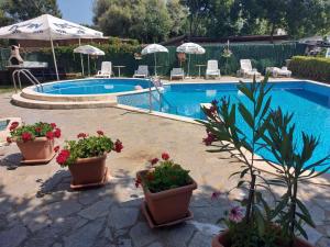 a swimming pool with potted plants and umbrellas at Lozenets Oasis Beach Home Lila in Lozenets