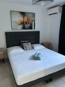 a bed with two blue pillows on top of it at Élégance in Baie-Mahault +6 photos
