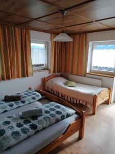 a bedroom with two beds and two windows at Apartments in Bruck am Ziller - Zillertal 857 in Bruck am Ziller