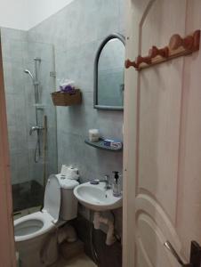 迦太基Appartement à Carthage byrsa的配有马桶、水槽和镜子的浴室