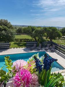 Πισίνα στο ή κοντά στο Villa Krstina
