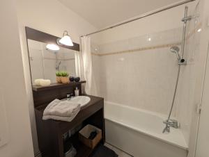 Koupelna v ubytování Charmant studio Val d'Europe - Montévrain