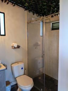 a bathroom with a toilet and a shower at Capibara-Glamping Cabaña in La Mesa +17 photos