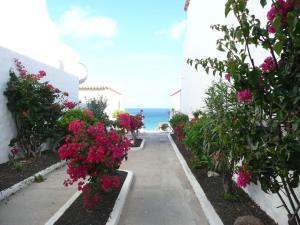 een loopbrug met bloemen en de oceaan op de achtergrond bij Bungalow with 2 bedrooms in Costa Calma