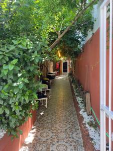 a walkway with plants on the side of a building at LAVİNYA PENSİON in Kusadası