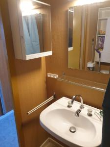 un baño con lavabo y espejo en Studio exposé Sud Les Menuires, en Les Menuires