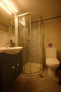 a bathroom with a shower and a toilet and a sink at Naousa's Melody in Naousa