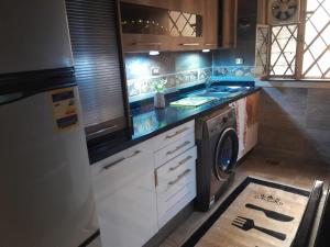a kitchen with a washing machine and a washer at Quiet Living in Cairo +6 photos