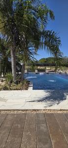 ein Pool mit einer Palme daneben in der Unterkunft Bangalô Kyalami Wake Park in Várzea Grande