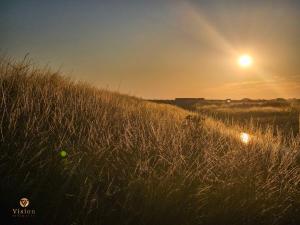 Billede fra billedgalleriet på Plages - Piscine - Barbecue - Logement de Vacances en Vendée i Bouin + 7 billeder