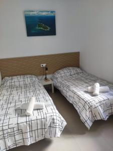 Gallery image of The New House in Tabernas