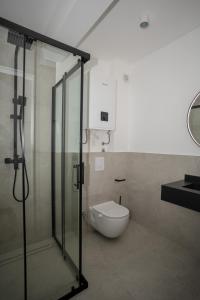 a bathroom with a toilet and a glass shower stall at SARAJEVO SUITES No 23 Free parking in Sarajevo