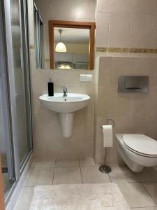 a bathroom with a sink and a toilet at Apartment ONE Centrum in Zakopane +22 photos