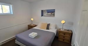 プティット・リヴィエール・サン・フランソワにあるBleuzen appartement du bas vue sur fleuve , Spa, WOWの小さなベッドルーム(ベッド1台、ランプ2つ付)
