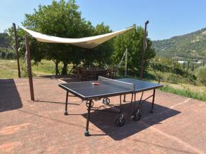 eine Tischtennisplatte mit einer Hängematte darüber in der Unterkunft Rustic apartment with swimming pool in Modigliana