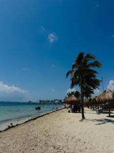 カンクンにあるCaribbean Family Stayのヤシの木と水中の人々のいる浜