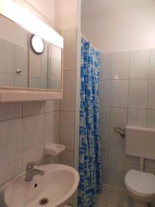 een badkamer met wastafel en toilet bij Apartments in Sabunike - Zadar Riviera 7981 in Batalaži