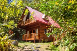 Το κτήριο όπου στεγάζεται  το καταφύγιο +41 φωτογραφίες