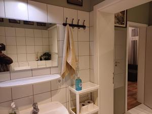a bathroom with a sink and a mirror at Müller's 2 Apartment - Self Check In in Zwickau +9 photos