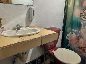 a bathroom with a sink and a toilet at Tortuguero Family House in Colorado