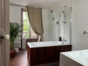 a bathroom with a tub and a shower and a sink at Maison Bourgeoise de Charme avec Spa, Parc et Activités - FR-1-489-541 in Jaligny +27 photos