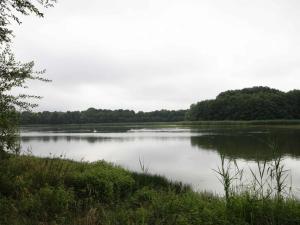 uitzicht op een meer met bomen op de achtergrond bij Le Moulin - FR-1-497-84 in Marchainville