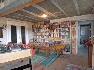 Biblioteca din această casă de vacanță +27 fotografii