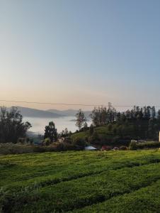 un champ verdoyant avec vue sur les collines dans l'établissement Valley homes, à Ooty