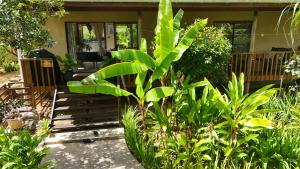 Afbeelding uit fotogalerij van A Peace In Paradise in Baie Lazare Mahé