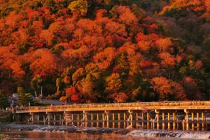 un ponte sopra un fiume con alberi colorati di KYOTO R01 - 10 sec walk-Ryoanji Station a Kyoto