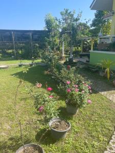 a garden with flowers in pots on the grass at Ray's in Ban Phae Buak Ha