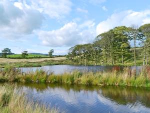a pond in the middle of a field with trees at The Den in Grayrigg