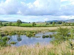 a river in a field with grass and trees at The Den in Grayrigg