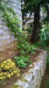 Vonkajšia záhrada v ubytovaní Holiday Home Luznar