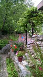 Vonkajšia záhrada v ubytovaní Holiday Home Luznar