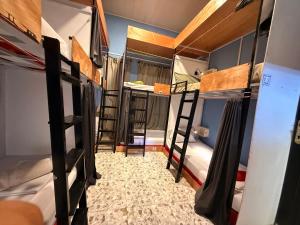 Rúm í herbergi á Social Backpacker Hostel & Rooftop Bar +12 myndir