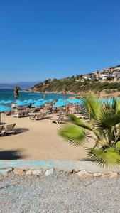 a beach with chairs and umbrellas and the ocean at Villa Selen in Bogazici