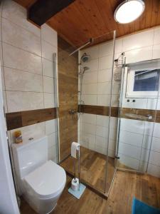 een badkamer met toilet en glazen douche bij Holiday home Marianska - Erzgebirge 1668 in Mariánská