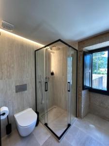 a bathroom with a toilet and a glass shower at Arume Rural House in Catasueiro +29 photos